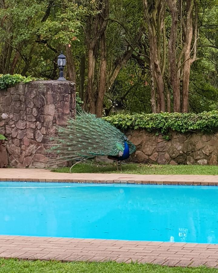 Chantecler Hotel Botha's Hill Exterior photo